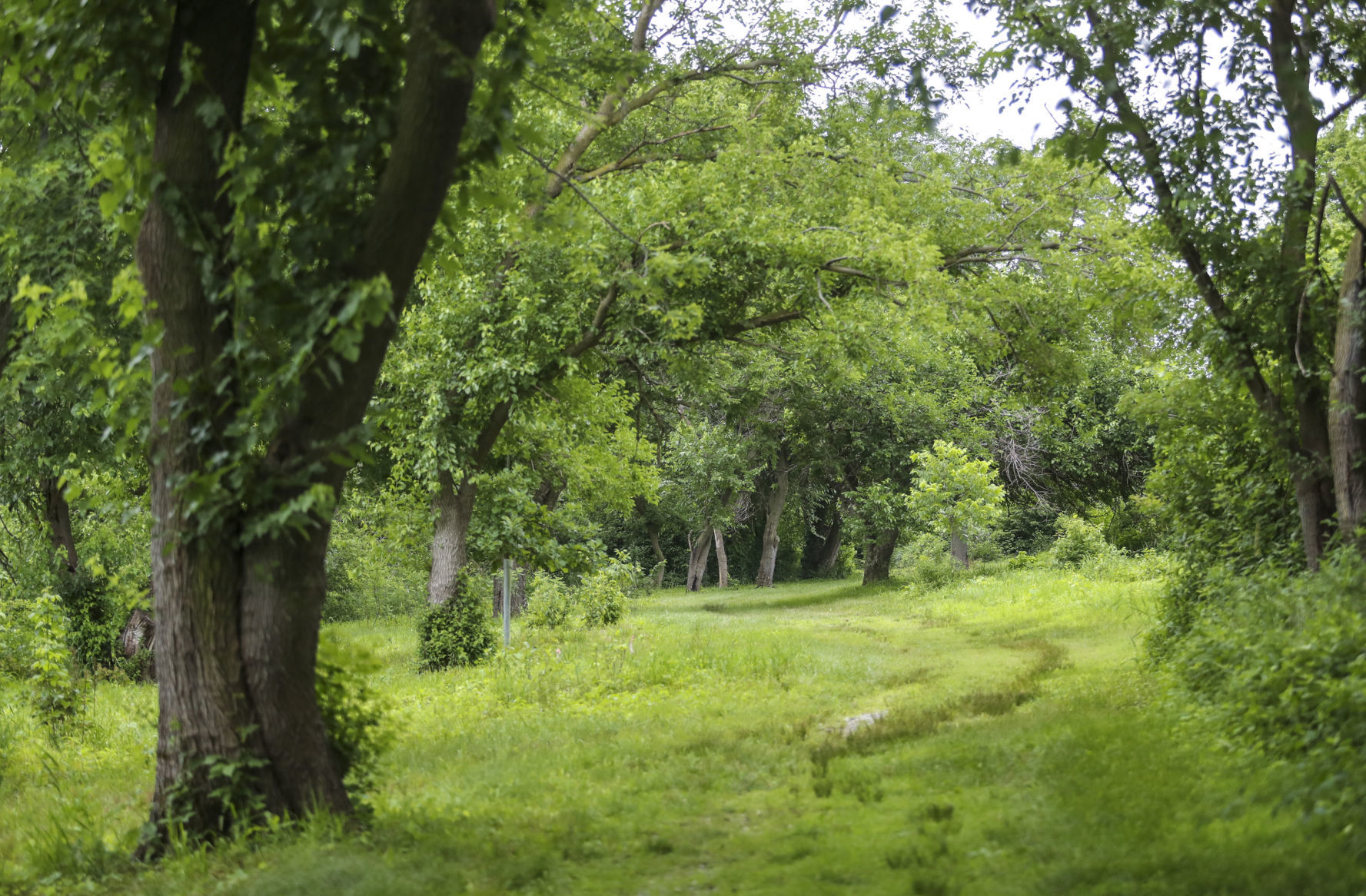 062218-qct-bioblitz-014